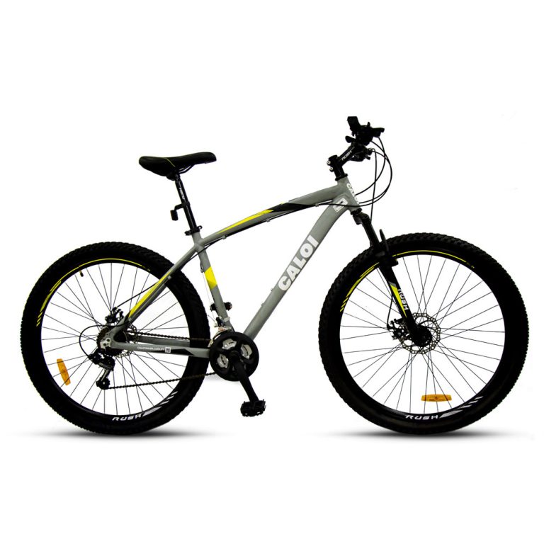 BICICLETA MTB CALOI HUNTER 29 PLATA Casa Lube